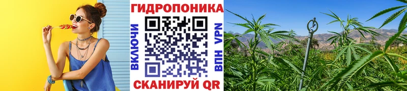 Купить где  Черепаново  МАРИХУАНА OG Kush 